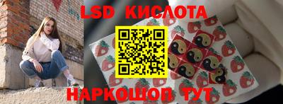 мдпв Гусев