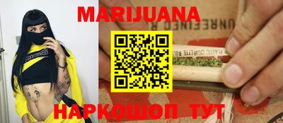 мдпв Гусев
