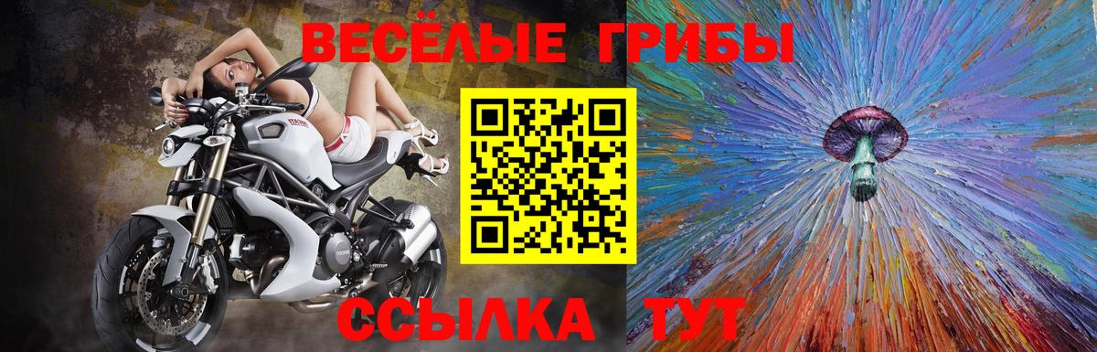 Галлюциногенные грибы ЛСД Моздок